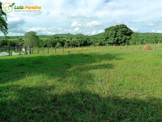 Chácara para Venda em Rio Negro - 5