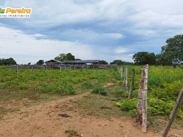 Fazenda para Venda em Peixe - 5