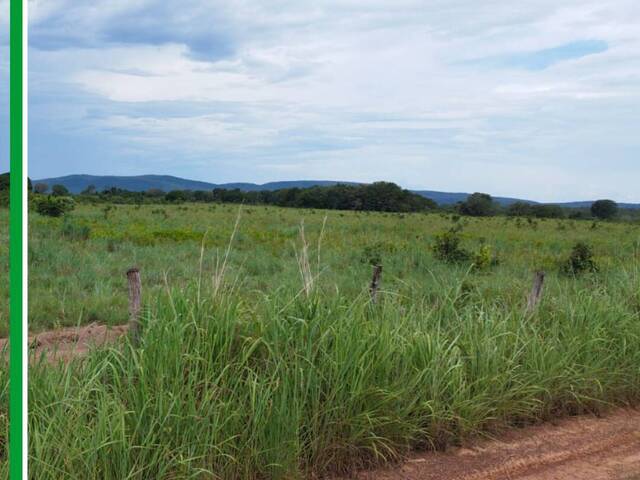 #2864 - Fazenda para Venda em Peixe - TO - 3