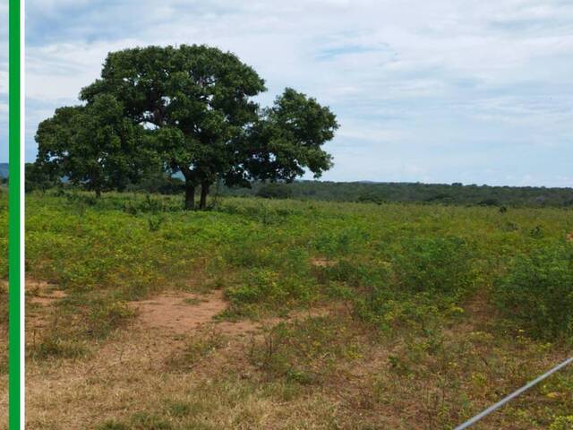 Fazenda para Venda em Peixe - 4