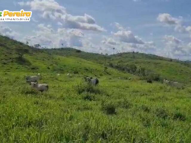 Fazenda para Venda em Pacajá - 5