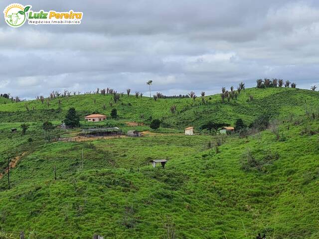 #2865 - Fazenda para Venda em Pacajá - PA