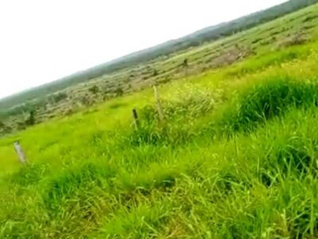 Fazenda para Venda em Pimenta Bueno - 4