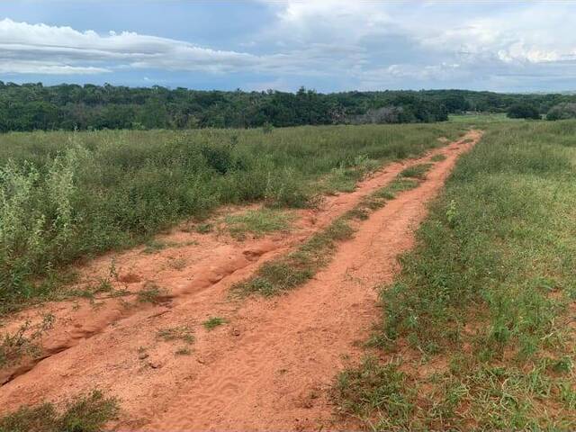 Fazenda para Venda em Sonora - 5
