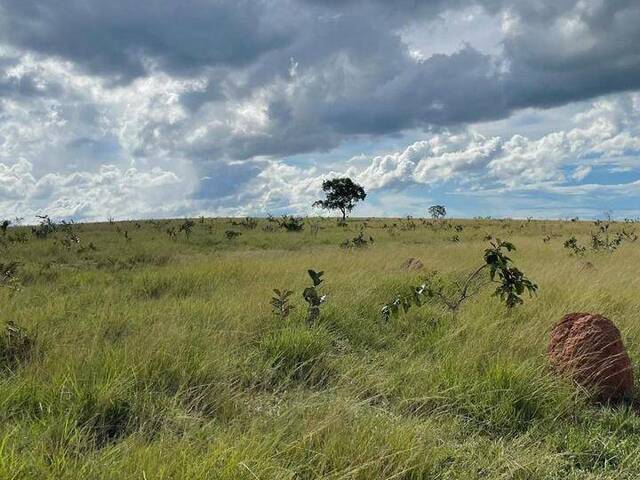 #2867 - Fazenda para Venda em Sonora - MS - 1