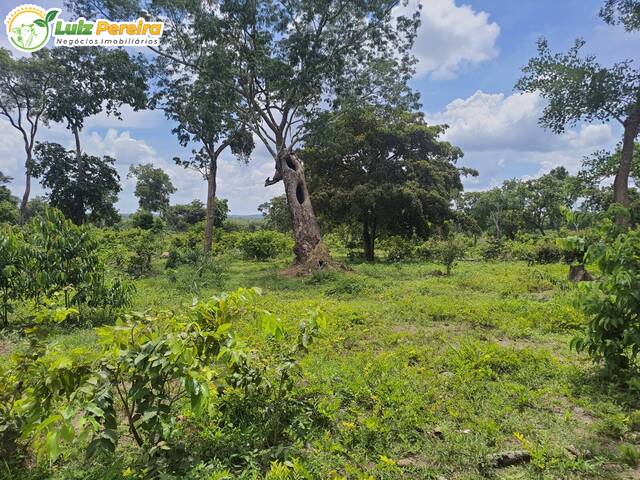 Fazenda para Venda em Itapiratins - 4