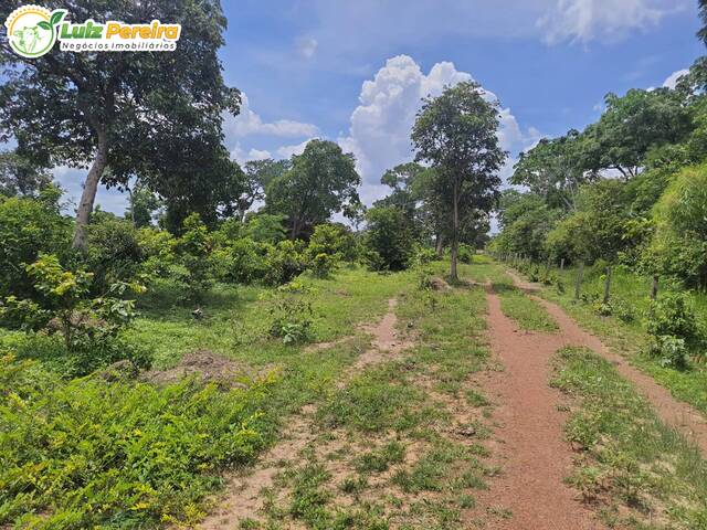 Fazenda para Venda em Itapiratins - 5