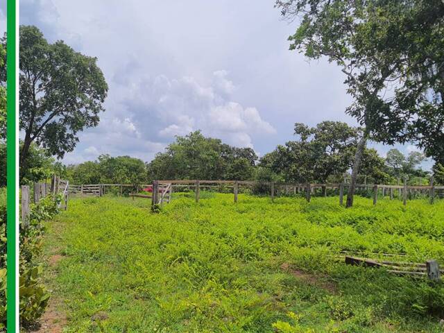 #2868 - Fazenda para Venda em Itapiratins - TO - 1