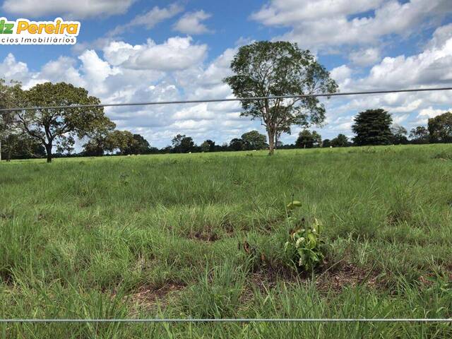 Chácara para Venda em Formoso do Araguaia - 4