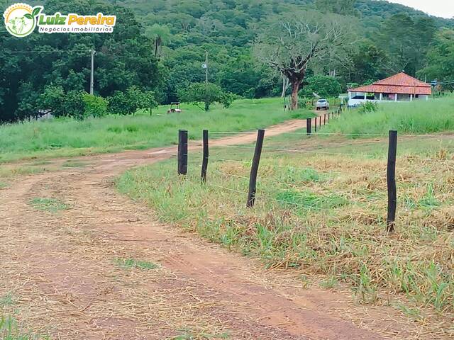 #2699 - Fazenda para Venda em Rio Negro - MS - 1