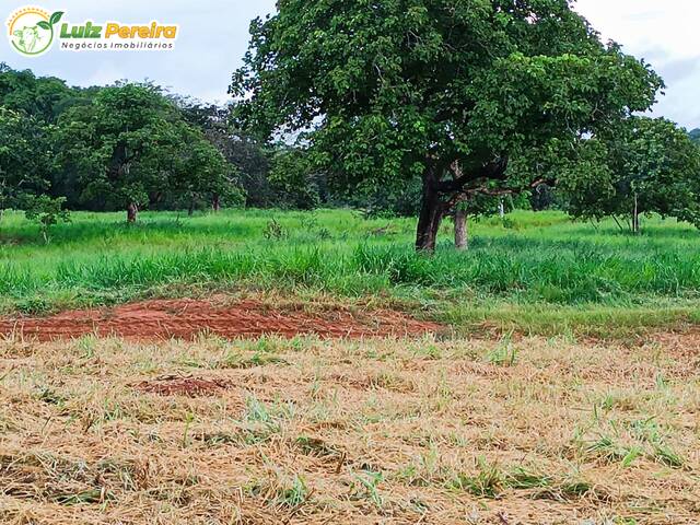 #2699 - Fazenda para Venda em Rio Negro - MS - 3