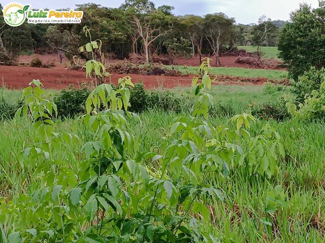 #2699 - Fazenda para Venda em Rio Negro - MS - 2