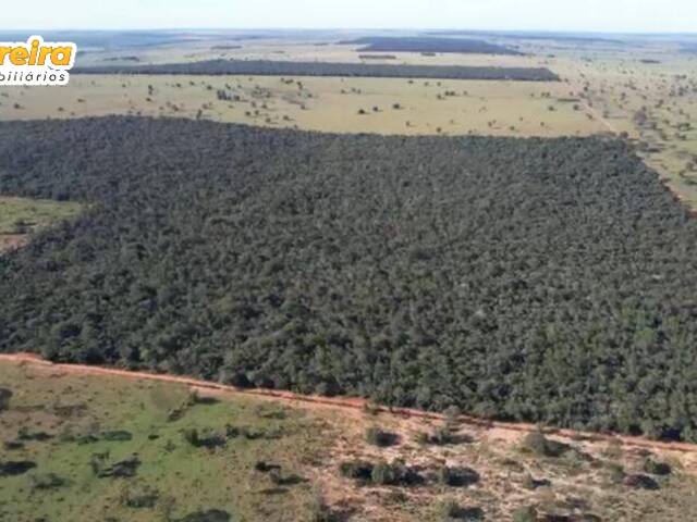 #2870 - Fazenda para Venda em Santa Rita do Pardo - MS - 2