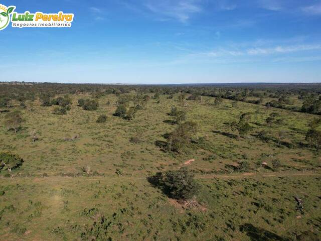 #2870 - Fazenda para Venda em Santa Rita do Pardo - MS - 3