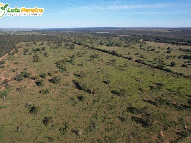 Fazenda para Venda em Santa Rita do Pardo - 4