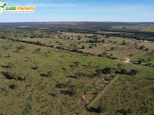 Fazenda para Venda em Santa Rita do Pardo - 5