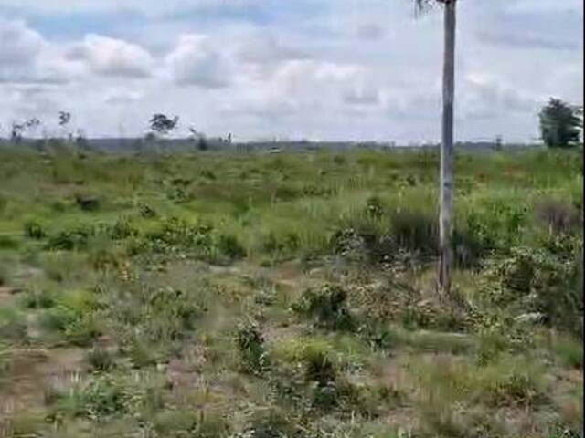 #2871 - Fazenda para Venda em Goianésia do Pará - PA - 3