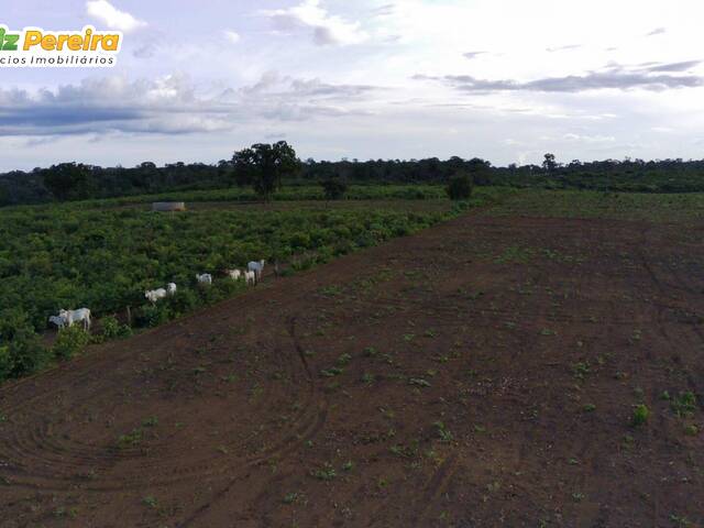 #2872 - Fazenda para Venda em Mirador - MA - 3