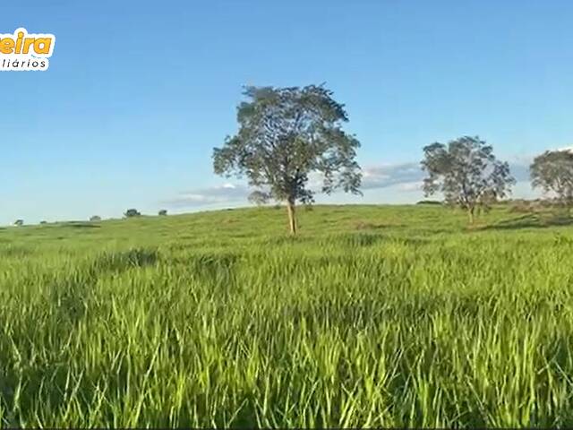 Fazenda para Venda em Camapuã - 5