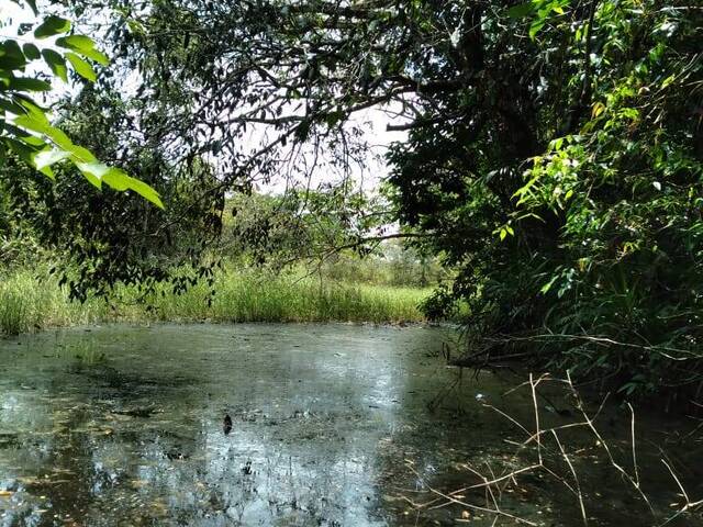 Venda em Zona Rural - Baião