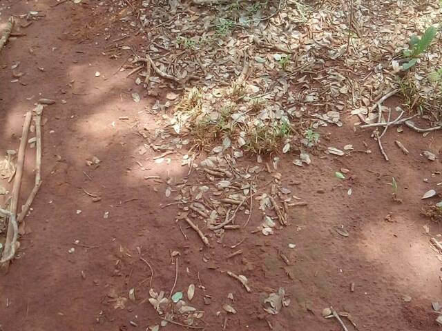 Fazenda para Venda em Araguaína - 5