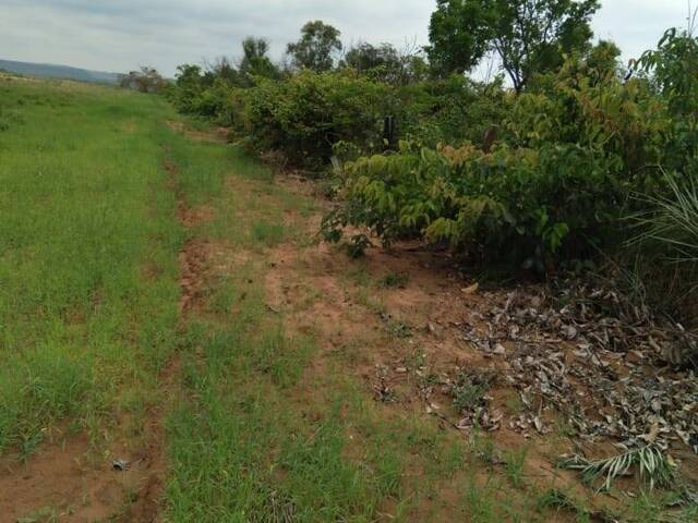 Fazenda para Venda em Araguaína - 4