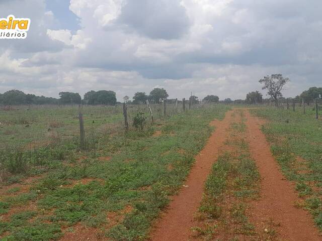 Fazenda para Venda em Abreulândia - 5