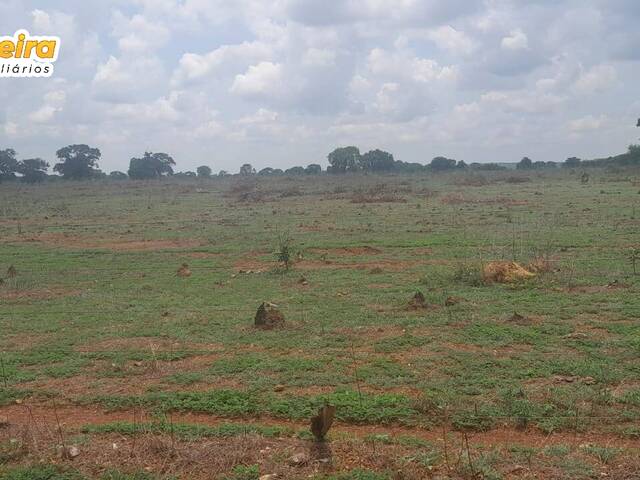 Fazenda para Venda em Abreulândia - 4