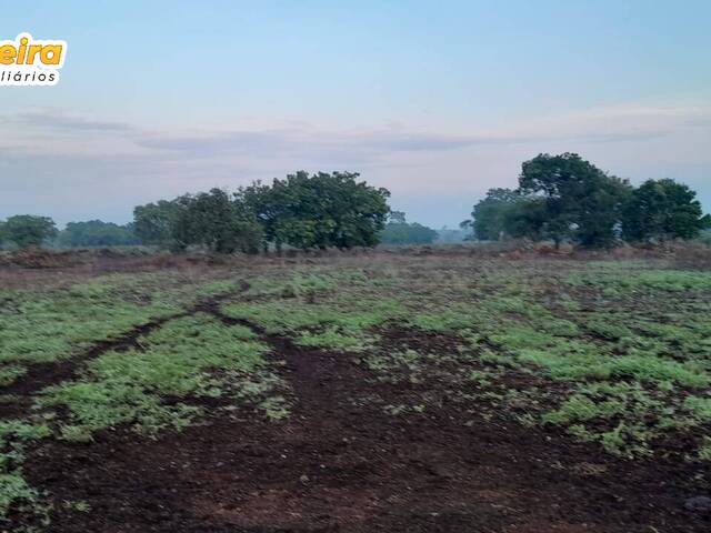 #2876 - Fazenda para Venda em Abreulândia - TO