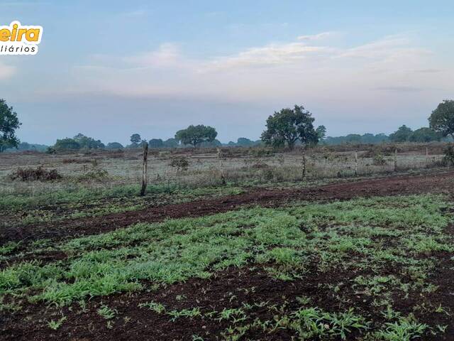 #2876 - Fazenda para Venda em Abreulândia - TO - 2