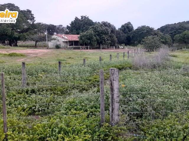 #2876 - Fazenda para Venda em Abreulândia - TO - 3