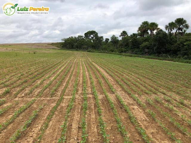 Venda em Zona Rural - Abreulândia