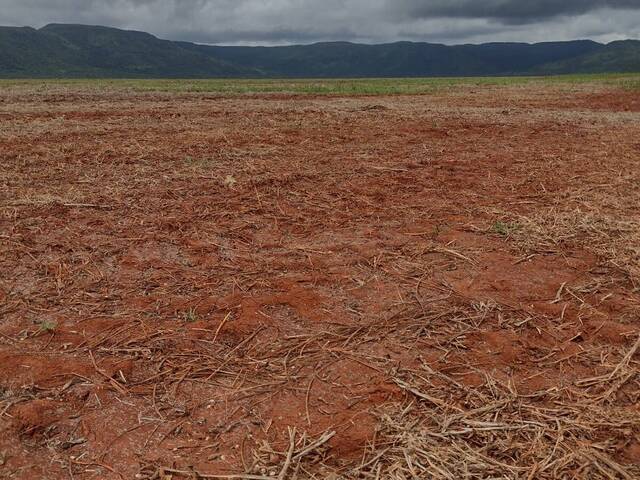 Fazenda para Venda em Brejinho de Nazaré - 5