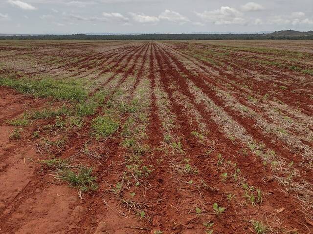#2878 - Fazenda para Venda em Brejinho de Nazaré - TO