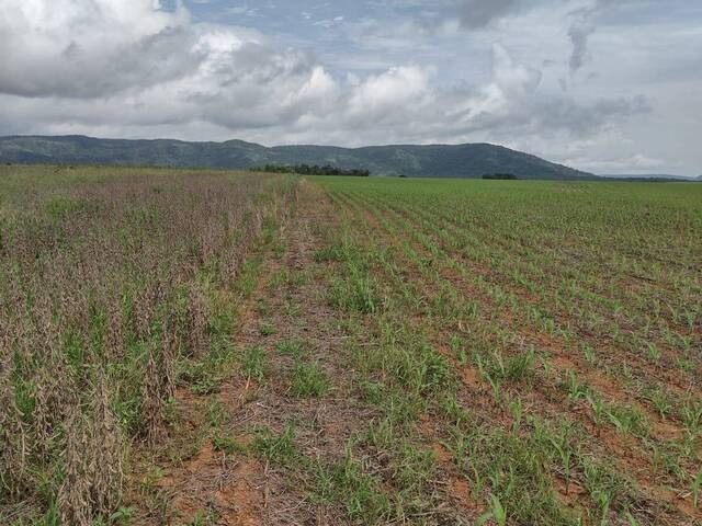 #2878 - Fazenda para Venda em Brejinho de Nazaré - TO - 2