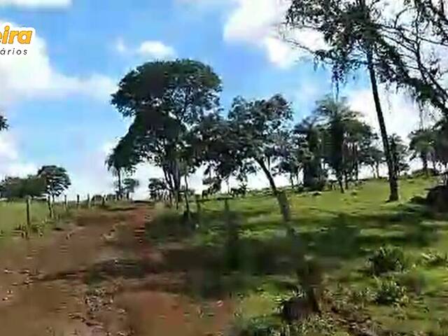 #2879 - Fazenda para Venda em Feira Nova do Maranhão - MA - 3