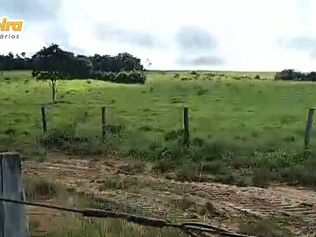 Fazenda para Venda em Feira Nova do Maranhão - 5