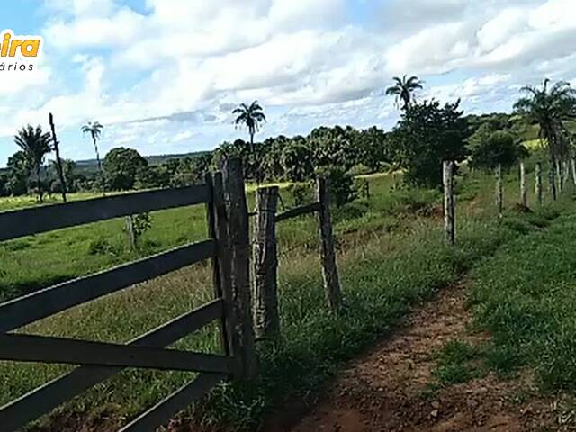 #2879 - Fazenda para Venda em Feira Nova do Maranhão - MA - 1