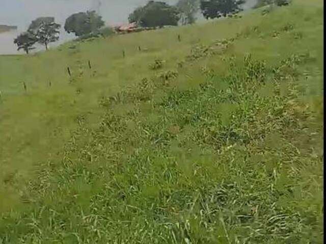 Fazenda para Venda em Tucuruí - 4