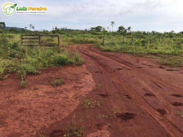 Chácara para Venda em Cumaru do Norte - 5