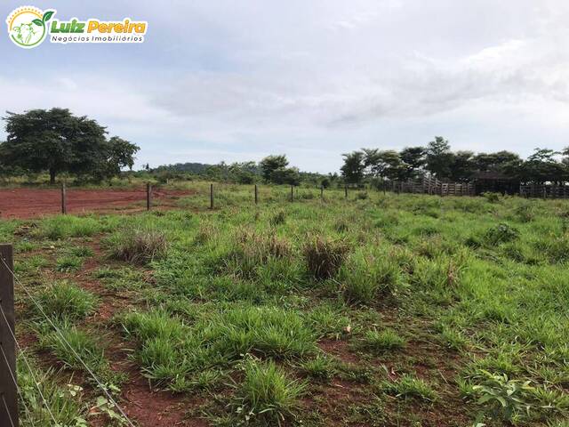 #2881 - Chácara para Venda em Cumaru do Norte - PA