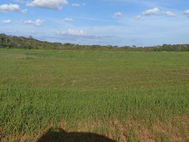 #2883 - Fazenda para Venda em Guarantã do Norte - MT - 2