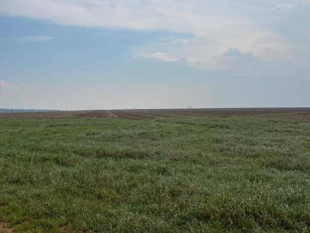 #2883 - Fazenda para Venda em Guarantã do Norte - MT - 3