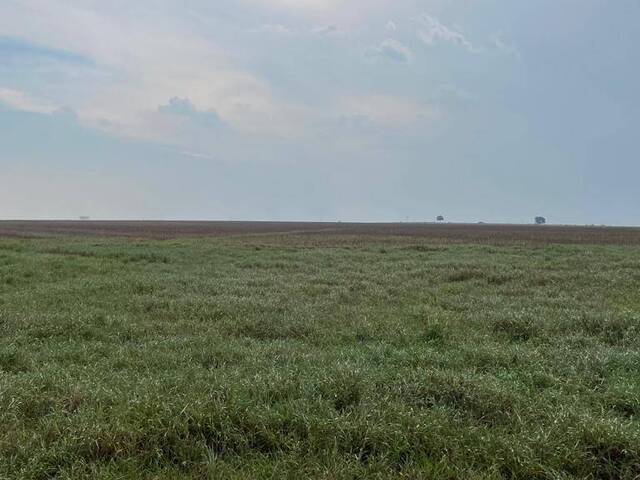 Fazenda para Venda em Guarantã do Norte - 4