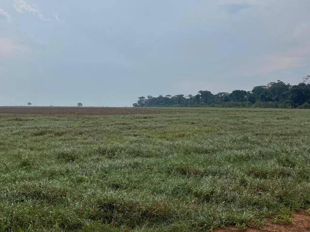 Fazenda para Venda em Guarantã do Norte - 5