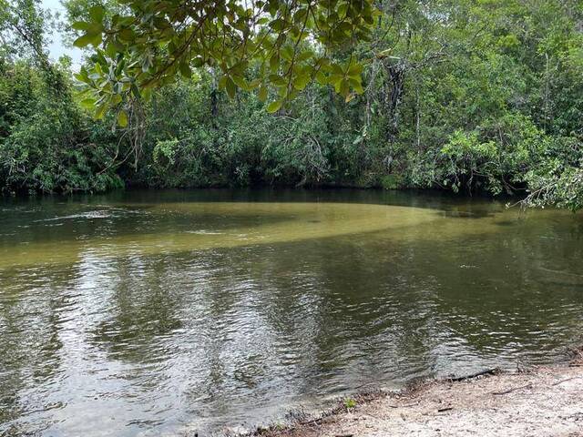 Venda em Zona Rural - Guarantã do Norte