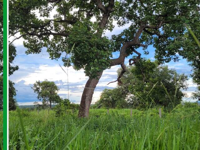 Fazenda para Venda em Rio Negro - 4