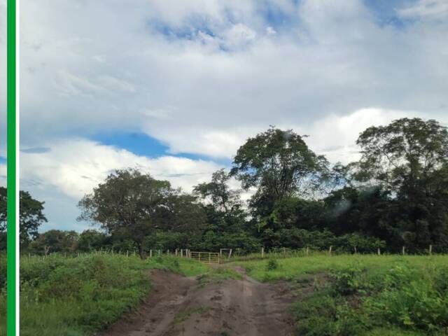 #2886 - Fazenda para Venda em Rio Negro - MS - 2