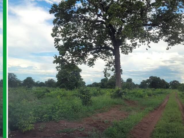 Fazenda para Venda em Rio Negro - 5