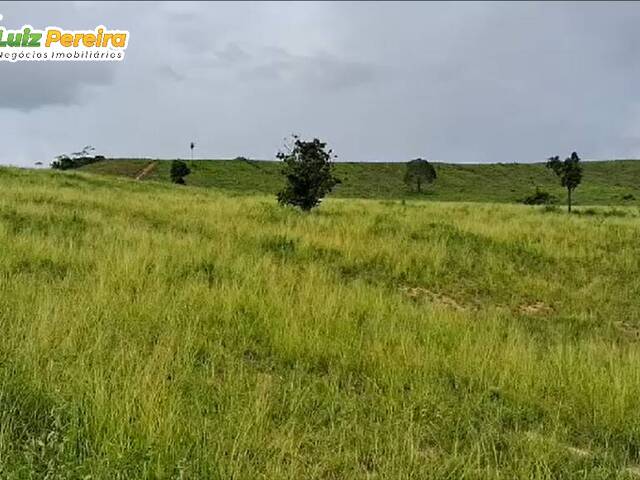 Fazenda para Venda em Jacundá - 5